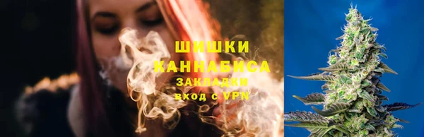 мяу мяу мука Новозыбков