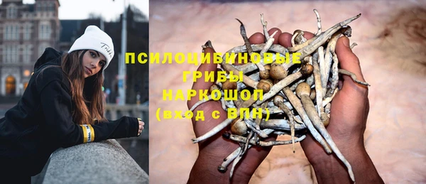мдпв Нея