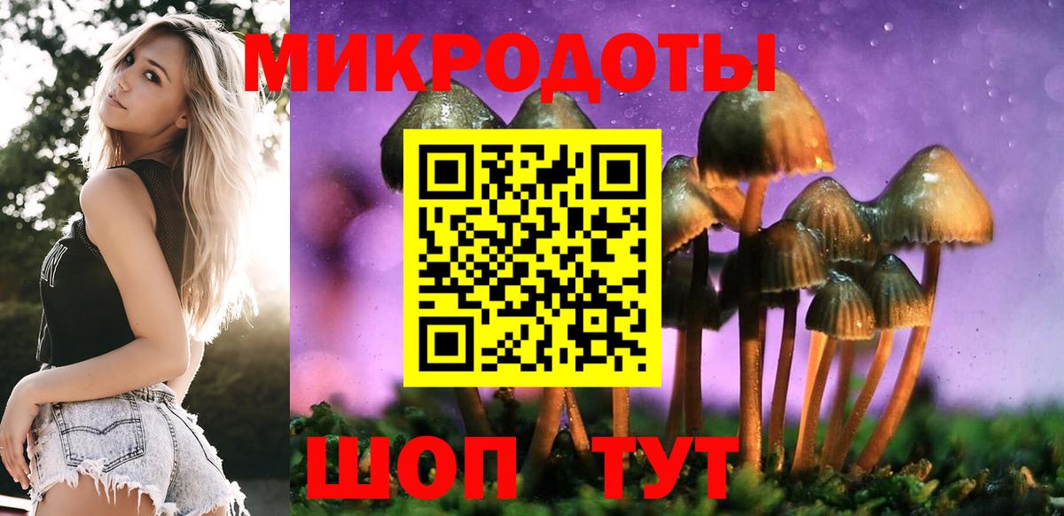 Похвистнево  Псилоцибиновые грибы мухоморы  купить наркотик  Вход с VPN  Псилоцибиновые грибы MAGIC MUSHROOMS 