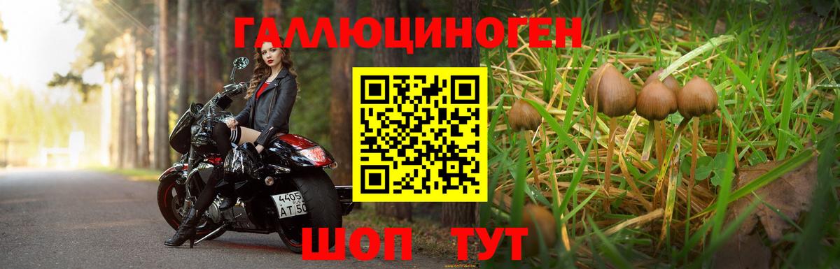 Псилоцибиновые грибы Psilocybine cubensis Похвистнево